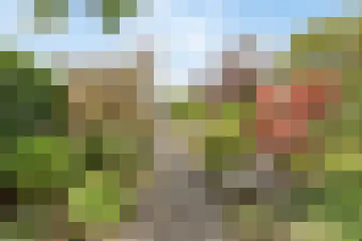 Nieuwlandstraat 7 Zoetermeer thumbnail 39