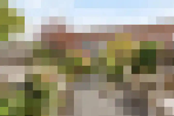 Nieuwlandstraat 7 Zoetermeer thumbnail 40