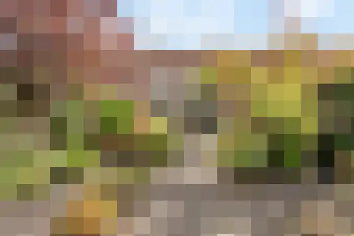 Nieuwlandstraat 7 Zoetermeer thumbnail 41