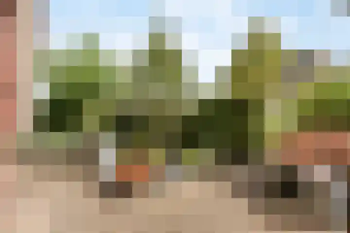 Nieuwlandstraat 7 Zoetermeer thumbnail 42