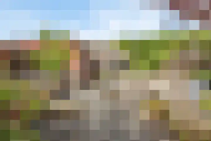 Nieuwlandstraat 7 Zoetermeer thumbnail 5