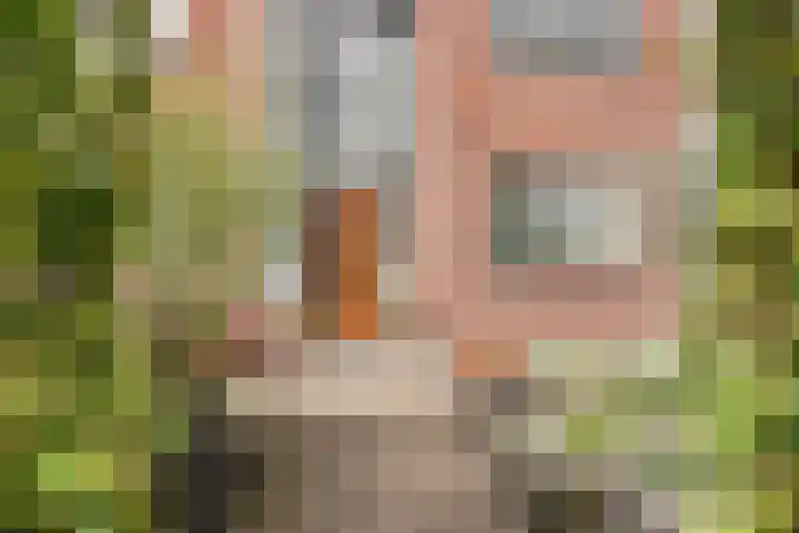 Nieuwlandstraat 7 Zoetermeer thumbnail 6