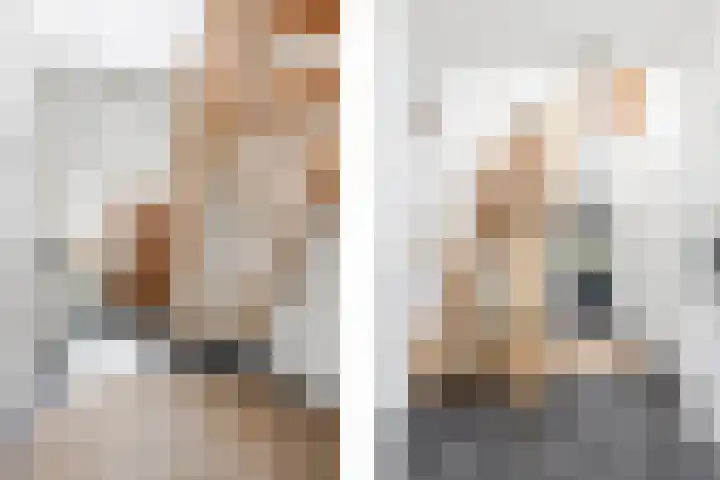 Nieuwlandstraat 7 Zoetermeer thumbnail 7