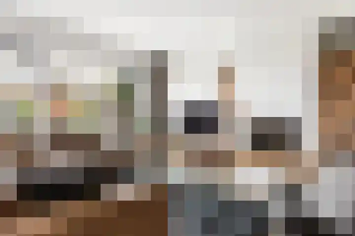 Nieuwlandstraat 7 Zoetermeer thumbnail 9