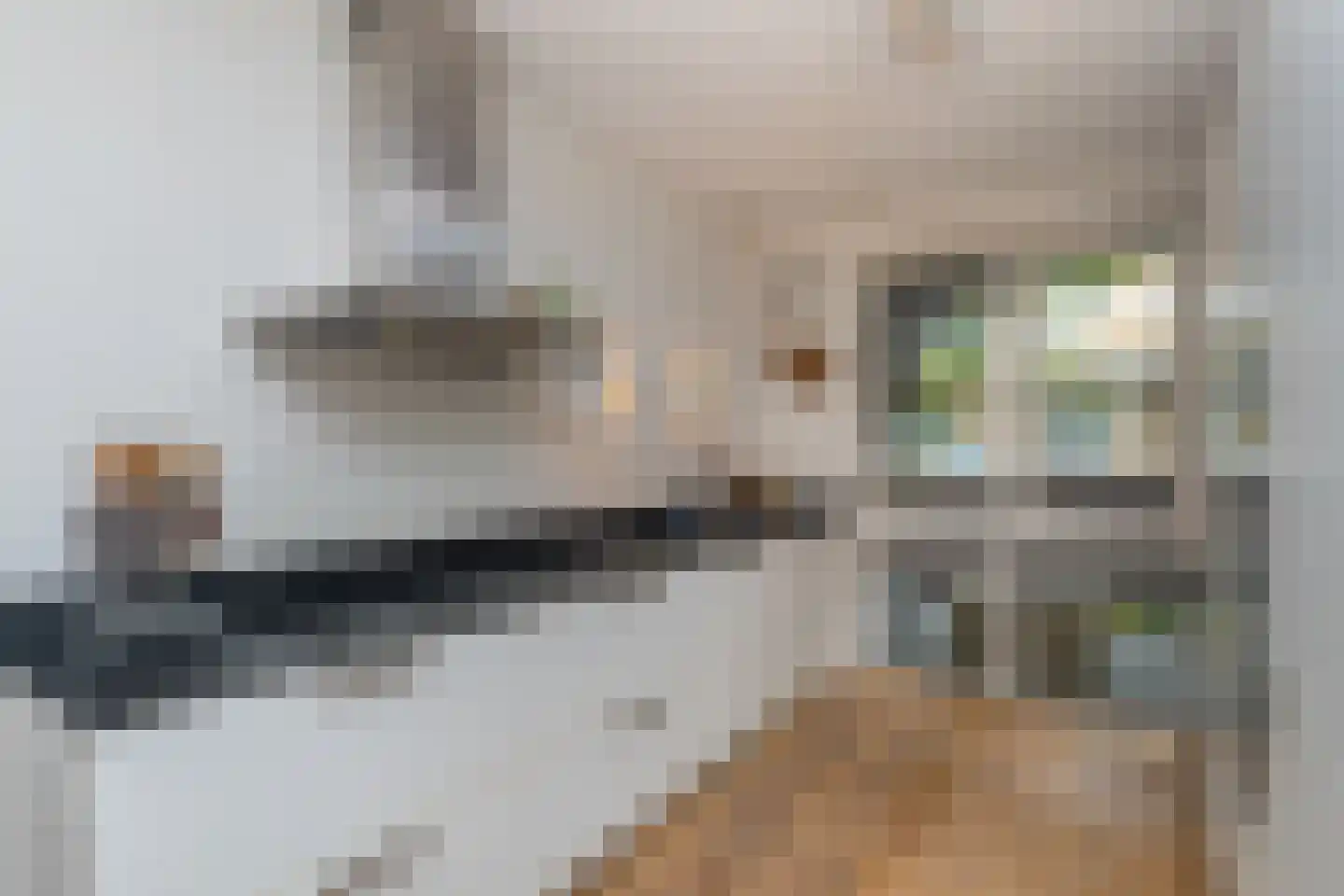 Nieuwlandstraat 8 Rijswijk thumbnail 16