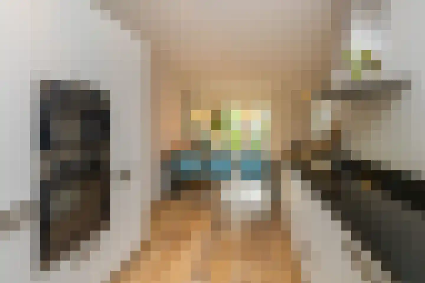 Nieuwlandstraat 8 Rijswijk thumbnail 20