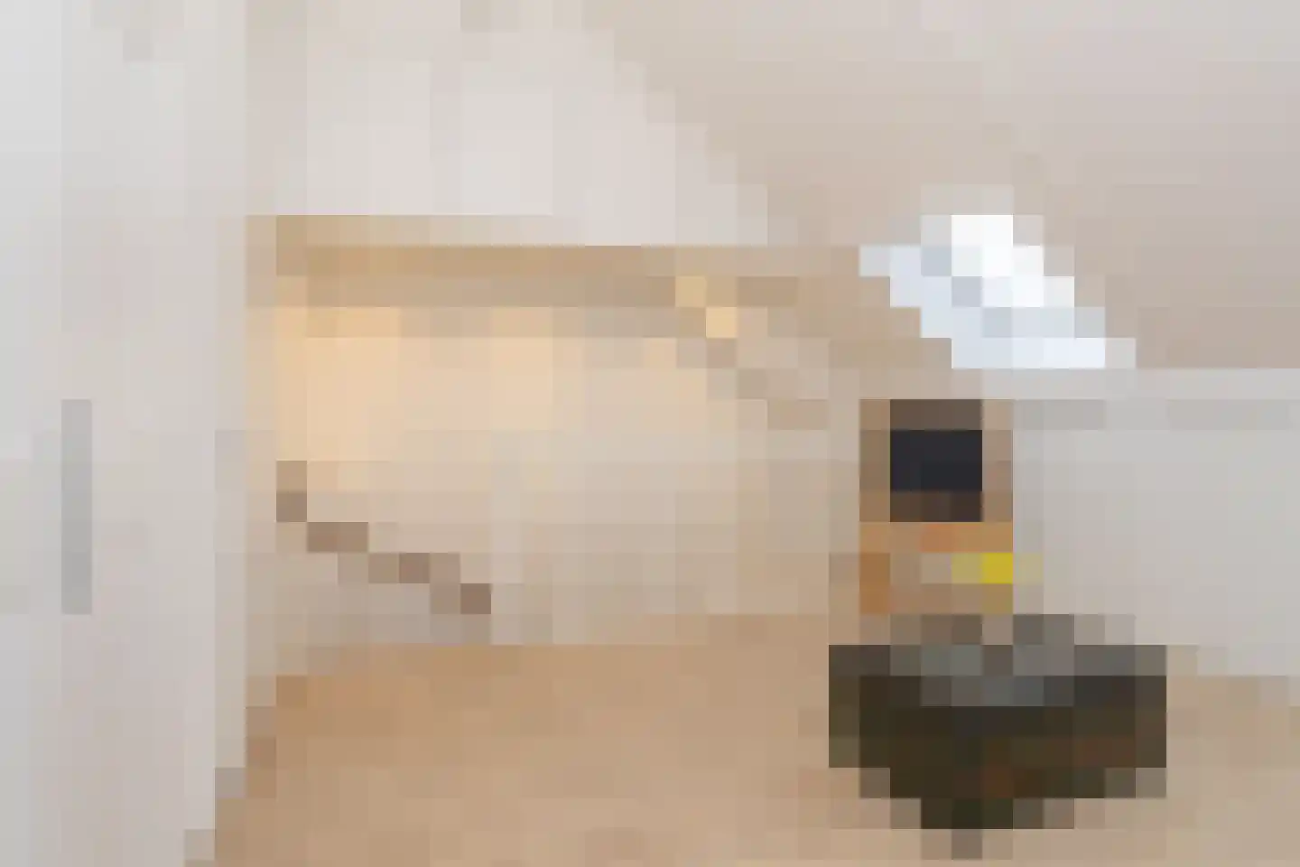 Nieuwlandstraat 8 Rijswijk thumbnail 39
