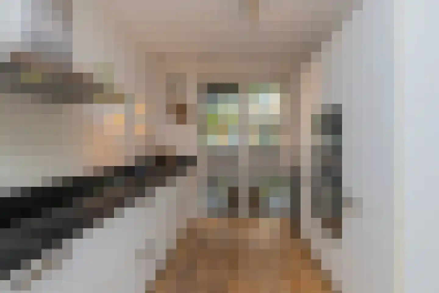 Nieuwlandstraat 8 Rijswijk thumbnail 4