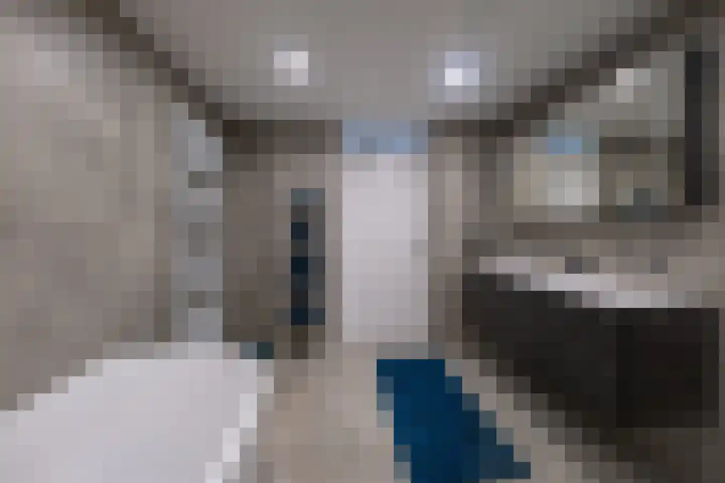 Nieuwlandstraat 82 Zoetermeer thumbnail 25
