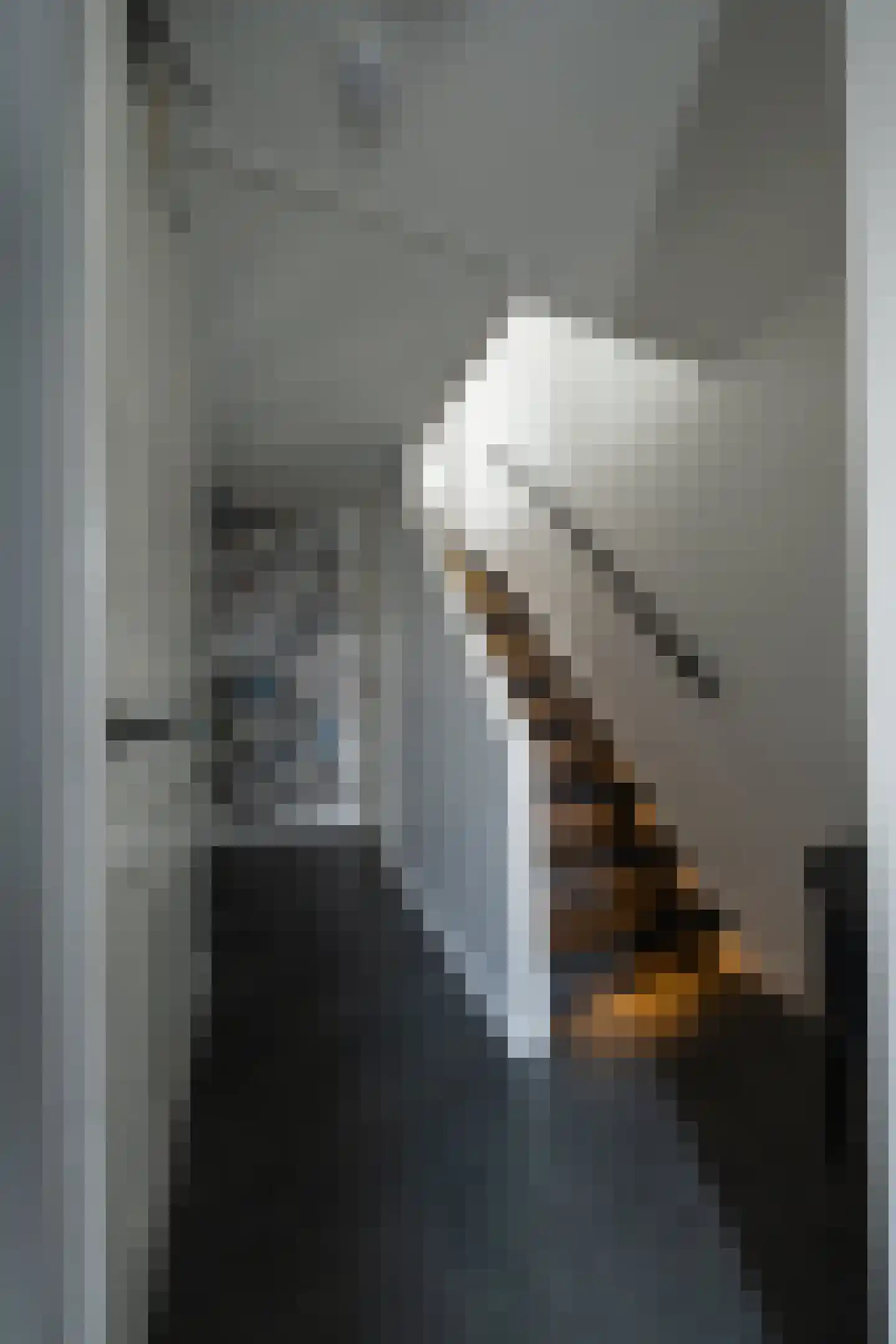 Nieuwlandstraat 82 Zoetermeer thumbnail 4