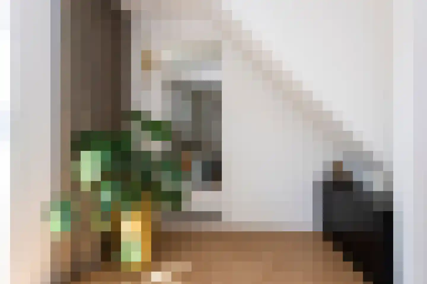 Nieuwlandstraat 9 Tilburg thumbnail 16
