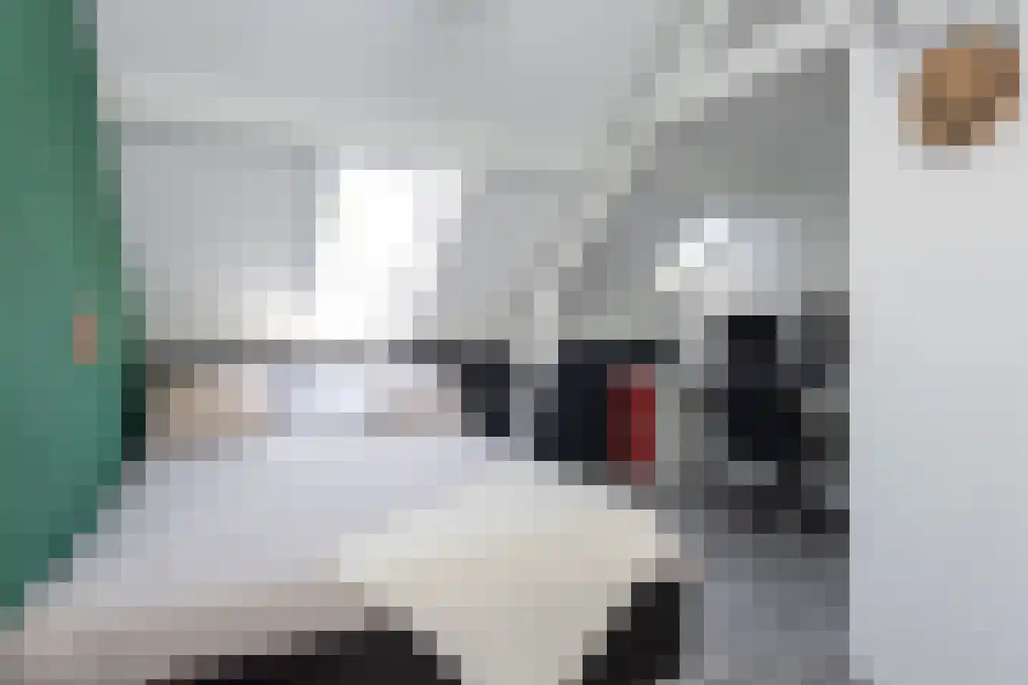Nieuwlandstraat 9 Tilburg thumbnail 26