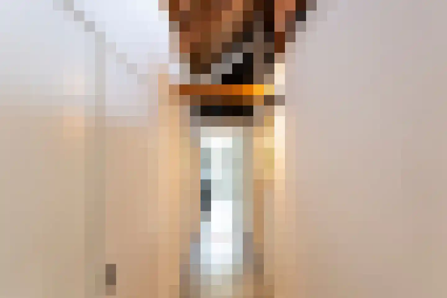 Nieuwlandstraat 9 Tilburg thumbnail 29
