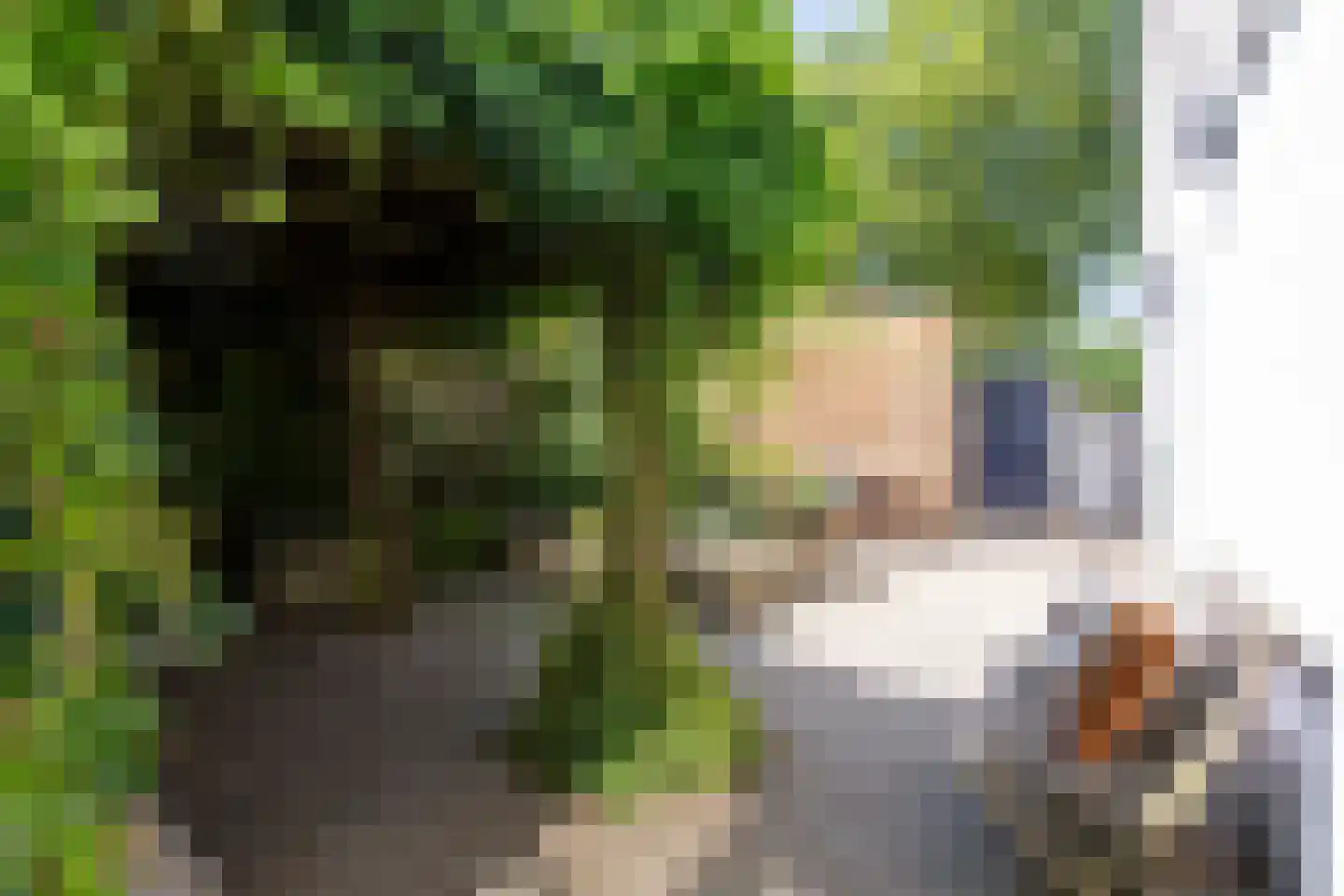 Nieuwlandstraat 9 Tilburg thumbnail 35