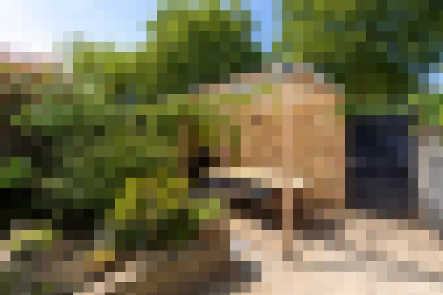 Nieuwlandstraat 9 Tilburg thumbnail 36