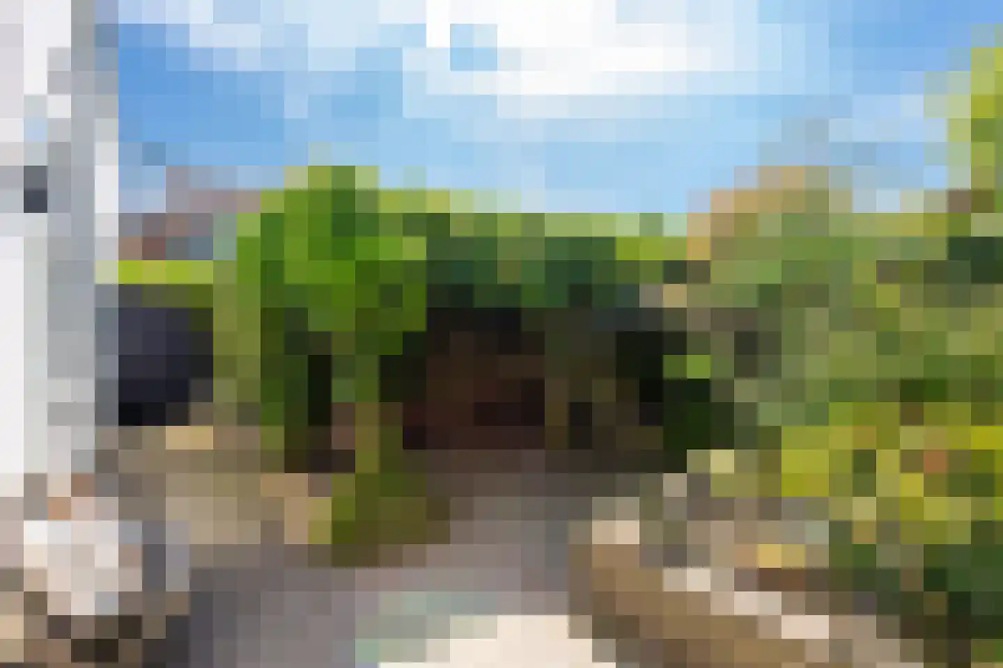 Nieuwlandstraat 9 Tilburg thumbnail 38