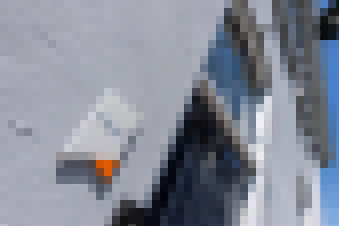 Nieuwlandstraat 9 Tilburg thumbnail 5