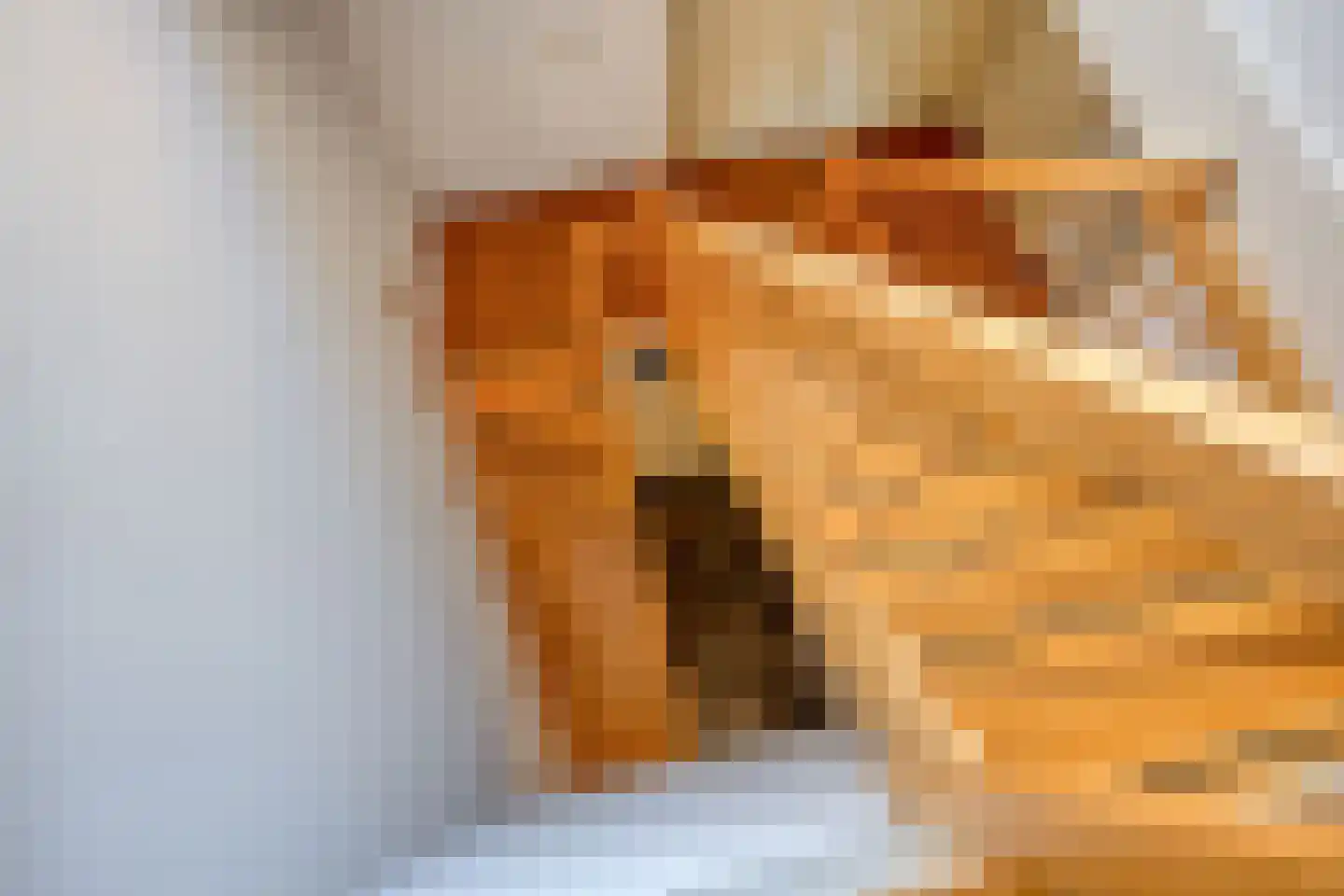 Nieuwlandstraat 9 Zoetermeer thumbnail 17