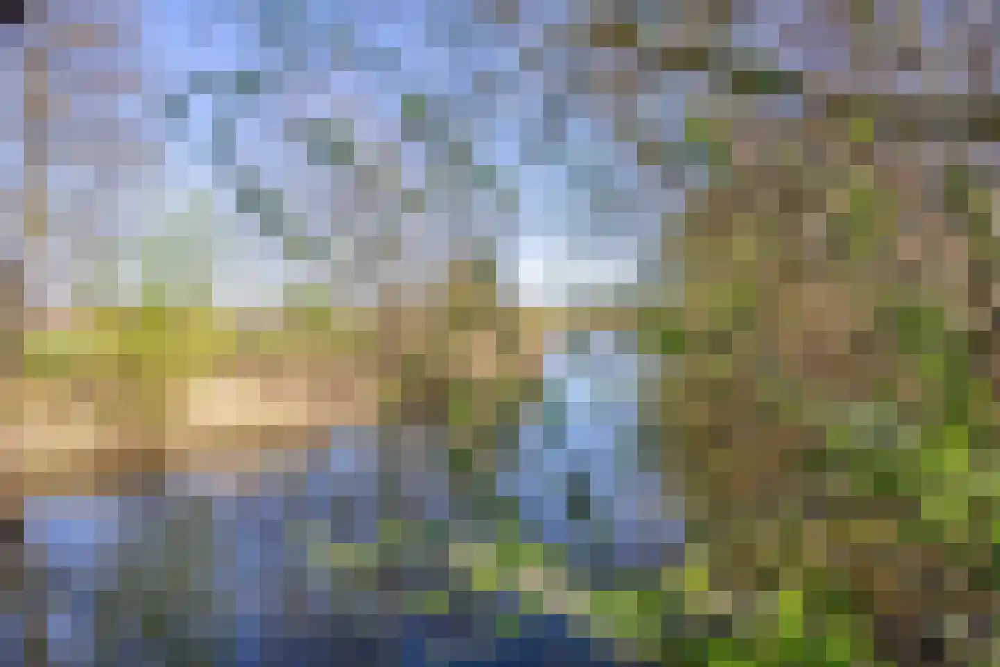 Nieuwlandstraat 9 Zoetermeer thumbnail 40