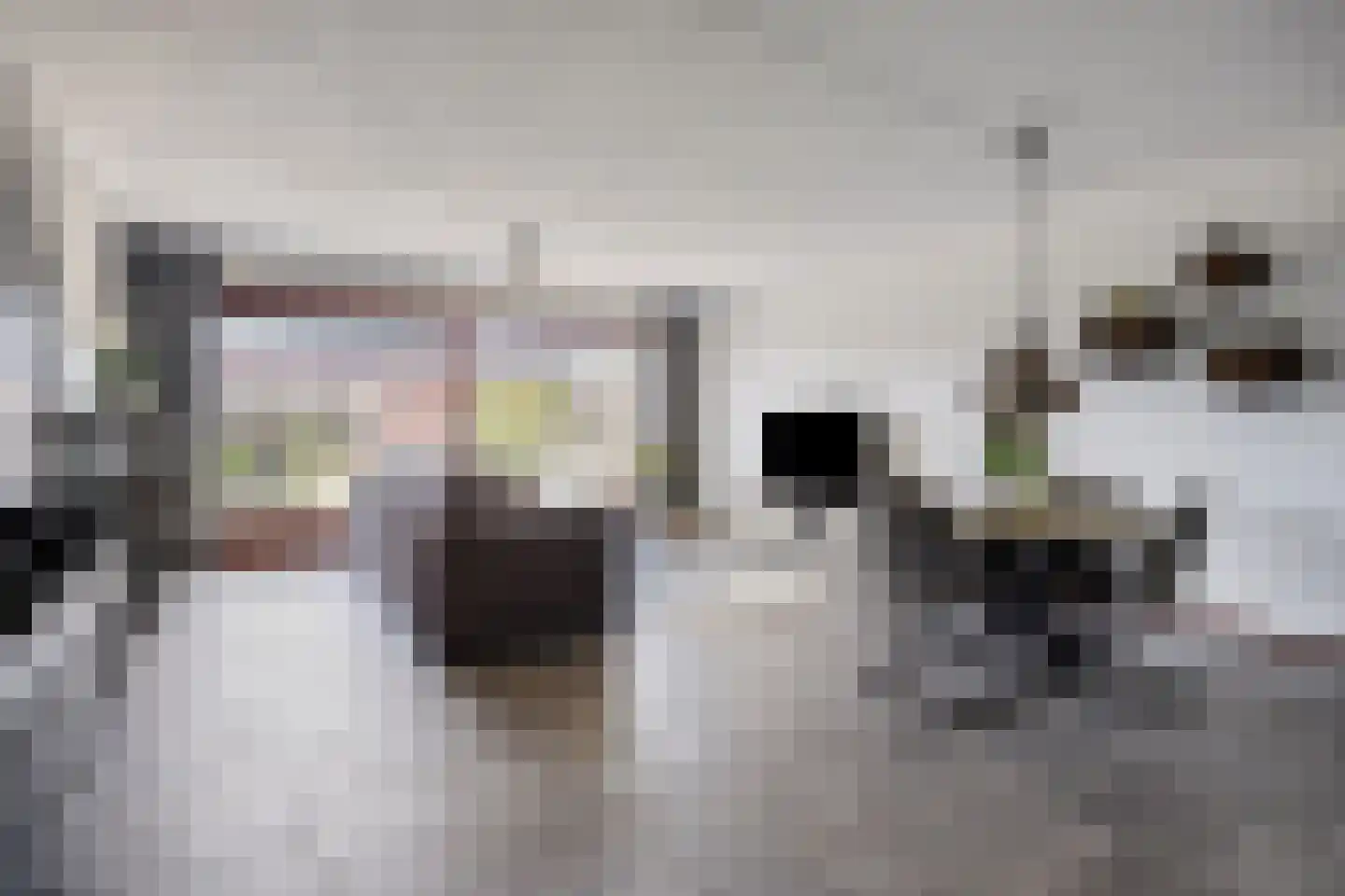 Nieuwlandstraat 9 Zoetermeer thumbnail 6