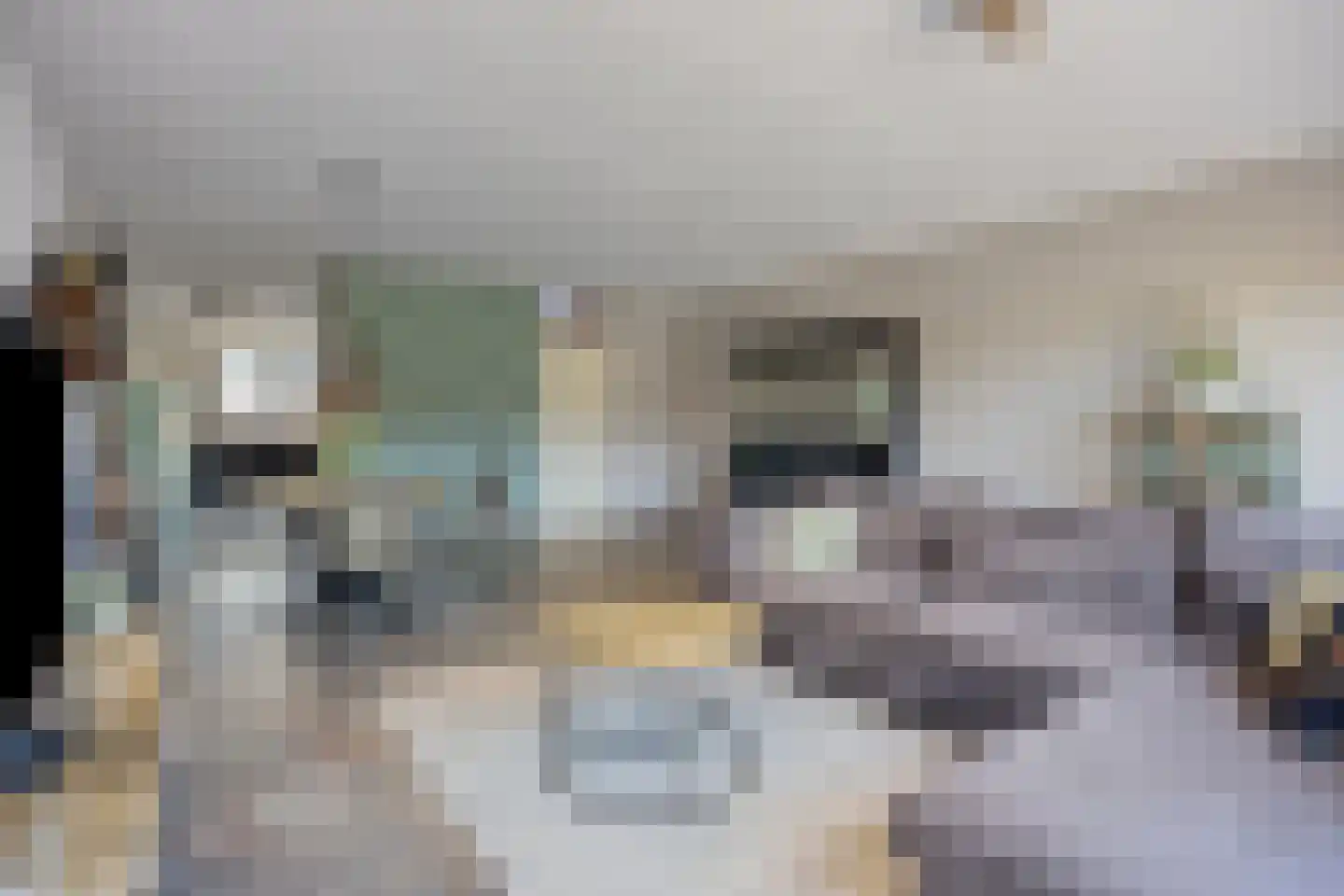 Nieuwlandstraat 9 Zoetermeer thumbnail 7