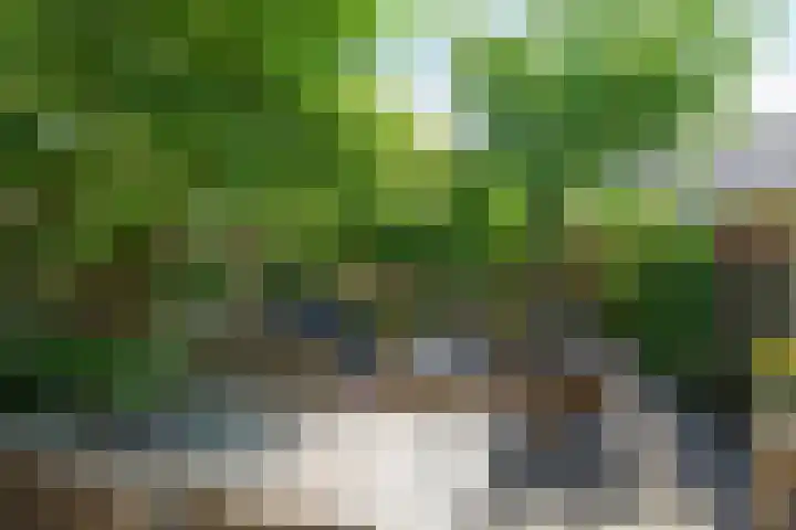 Nieuwlandstraat 96 Zoetermeer thumbnail 11