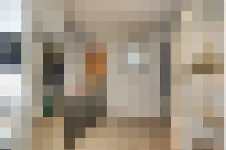 Nieuwlandstraat 96 Zoetermeer thumbnail 25