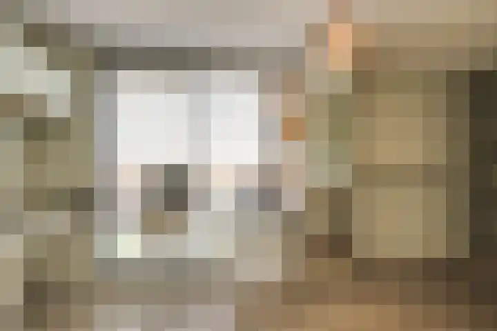 Nieuwlandstraat 96 Zoetermeer thumbnail 30