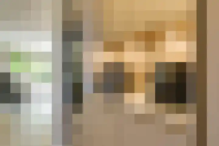 Nieuwlandstraat 96 Zoetermeer thumbnail 4