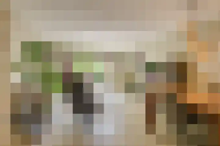 Nieuwlandstraat 96 Zoetermeer thumbnail 8