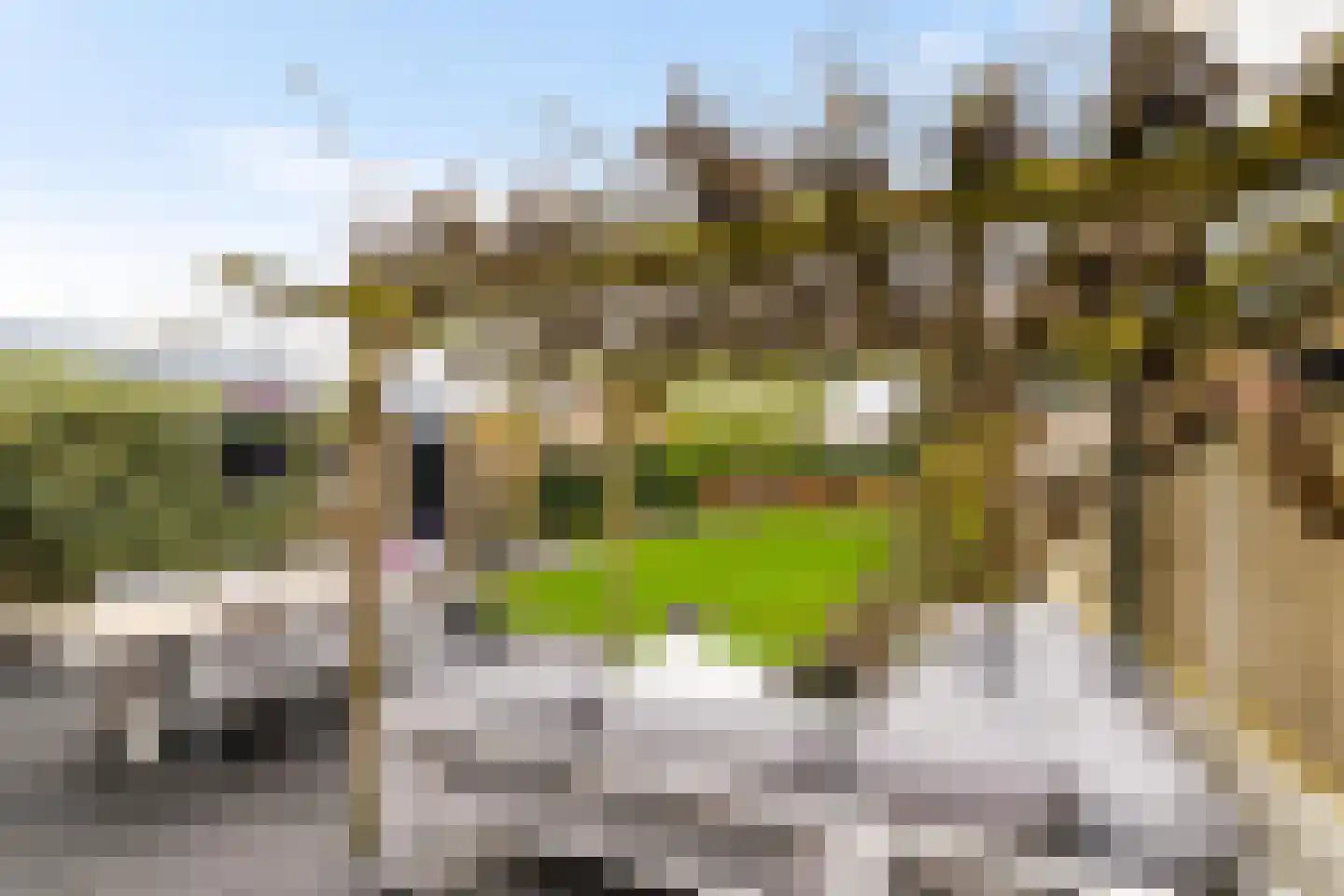 Nieuwlandsweg 21 Haren Gn thumbnail 50