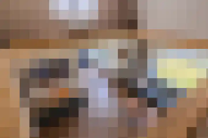Nieuwlandsweg 25 Wezep thumbnail 11