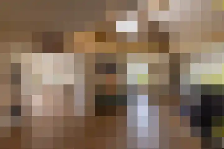 Nieuwlandsweg 25 Wezep thumbnail 12