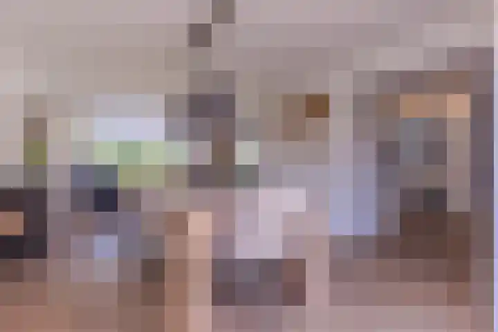 Nieuwlandsweg 25 Wezep thumbnail 13