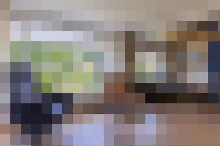 Nieuwlandsweg 25 Wezep thumbnail 15