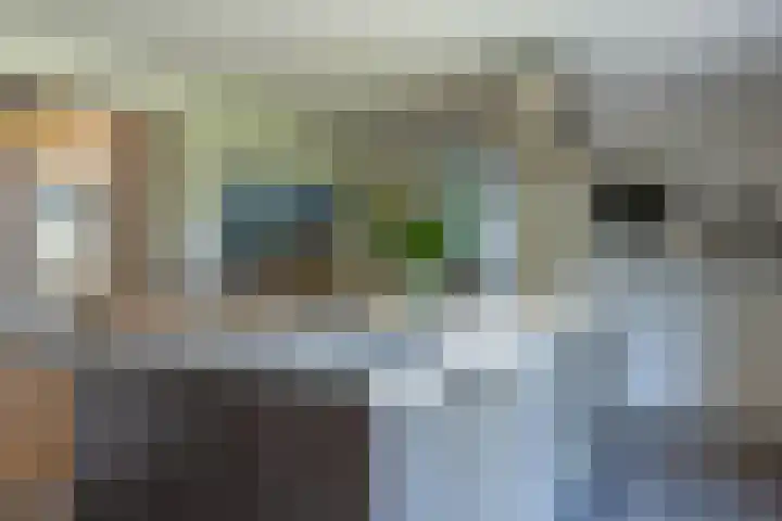 Nieuwlandsweg 25 Wezep thumbnail 20