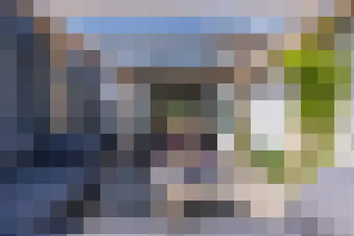 Nieuwlandsweg 25 Wezep thumbnail 33