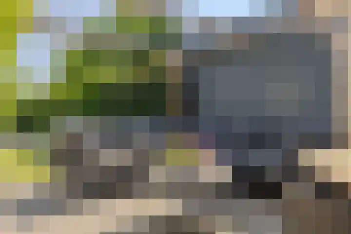 Nieuwlandsweg 25 Wezep thumbnail 34