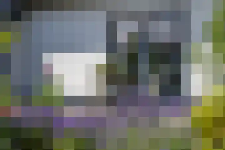 Nieuwlandsweg 25 Wezep thumbnail 37