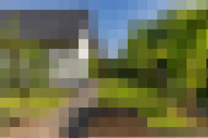 Nieuwlandsweg 25 Wezep thumbnail 38
