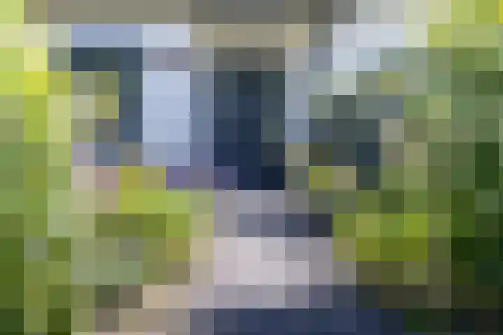 Nieuwlandsweg 25 Wezep thumbnail 4