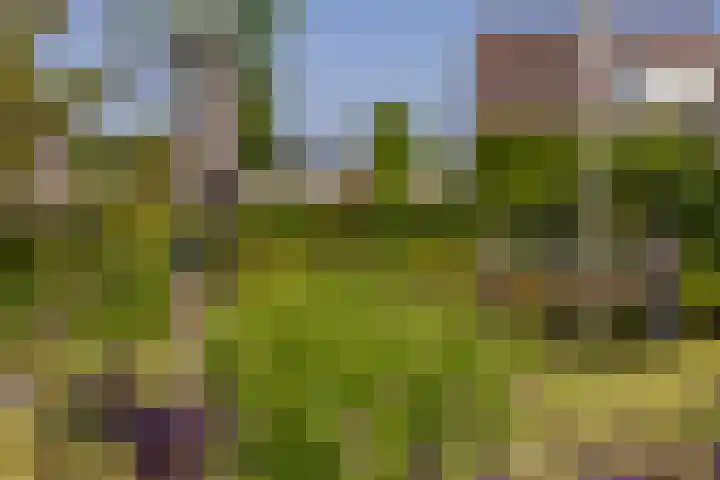 Nieuwlandsweg 25 Wezep thumbnail 43
