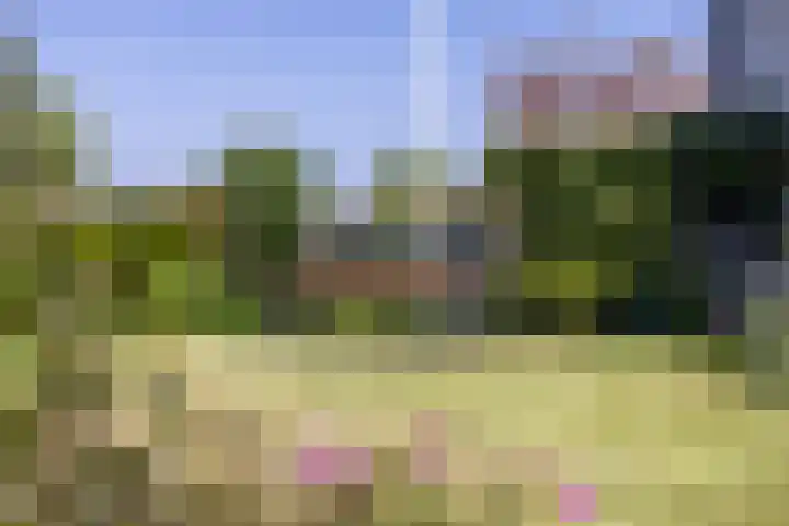 Nieuwlandsweg 25 Wezep thumbnail 44