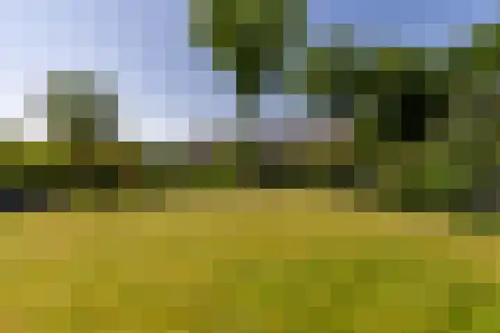 Nieuwlandsweg 25 Wezep thumbnail 45