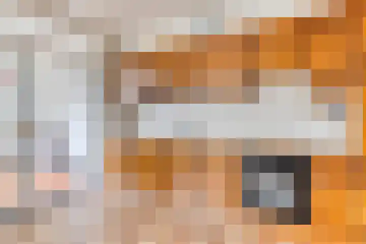 Nieuwlandsweg 44 Rijssen thumbnail 13