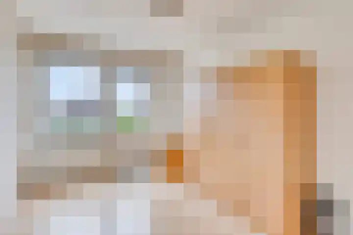 Nieuwlandsweg 44 Rijssen thumbnail 21
