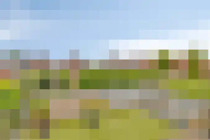 Nieuwlandsweg 44 Rijssen thumbnail 22