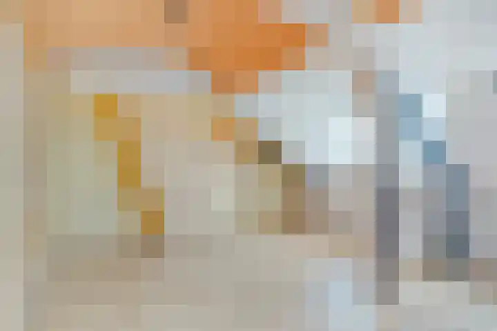 Nieuwlandsweg 44 Rijssen thumbnail 25
