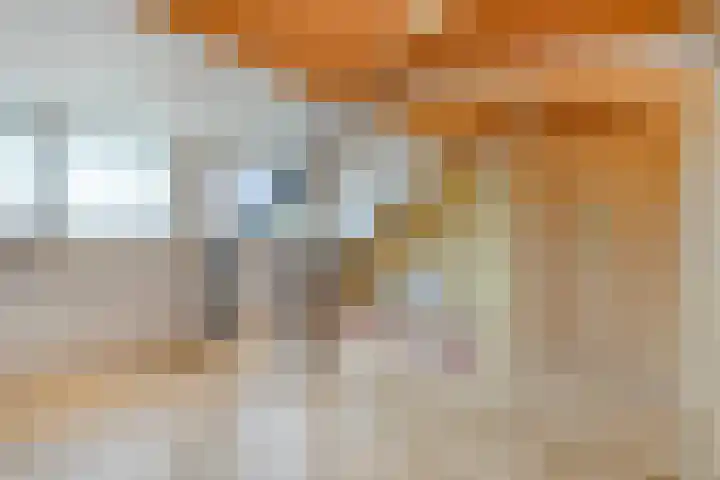 Nieuwlandsweg 44 Rijssen thumbnail 26