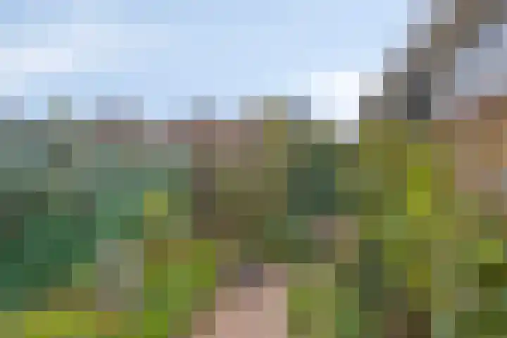 Nieuwlandsweg 44 Rijssen thumbnail 29